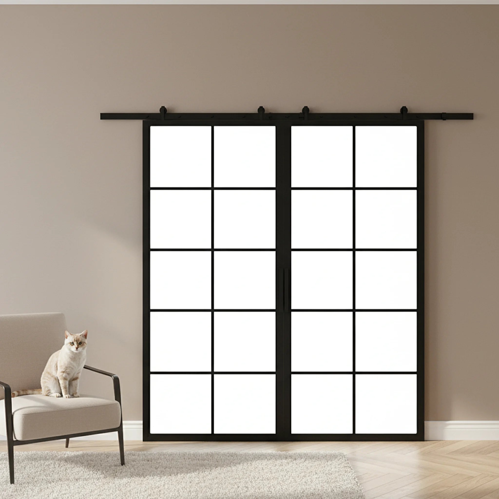 10 Lite Interior Steel French Double Barn Door Classic Grid - Alpada Doors