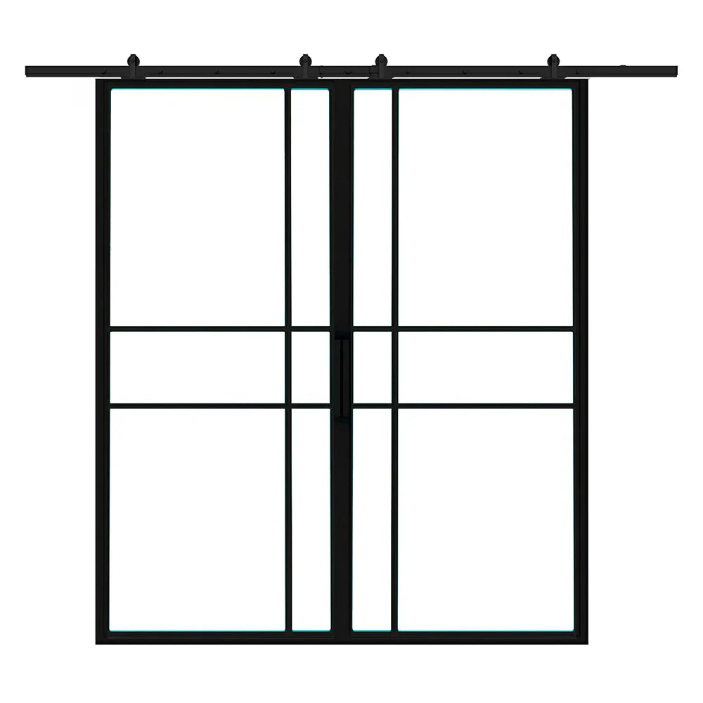 6 Lite Interior Steel Double Barn Door Asymmetrical Grid