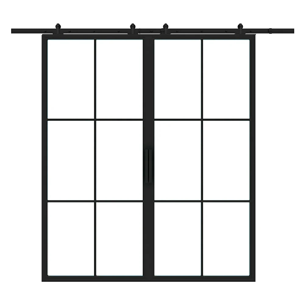 6 Lite Interior Steel Double Barn Door