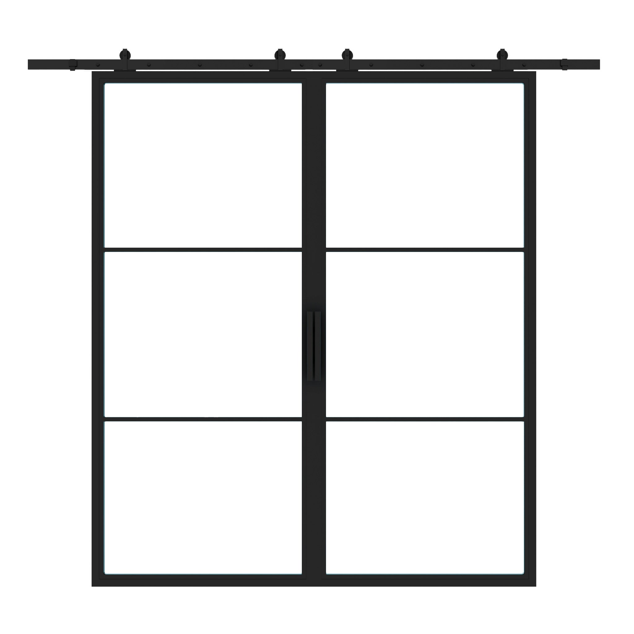 Double Interior Steel Glass Barn Door Pre-Order