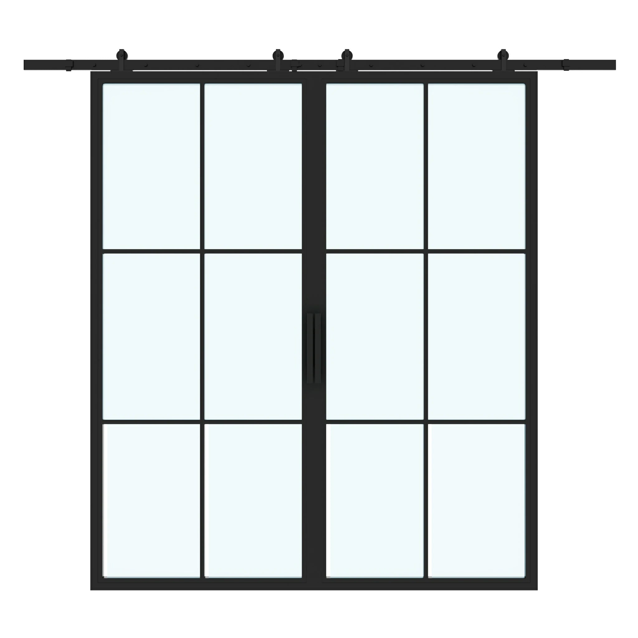 6 Lite Double Interior Steel Glass Barn Door