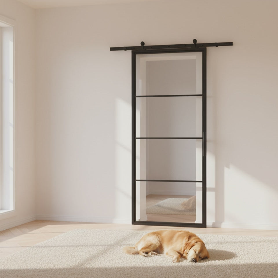 4 Lite Interior Steel French Barn Door